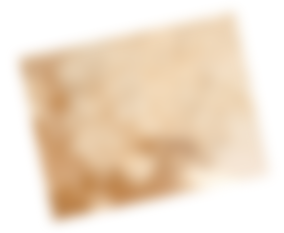 FV Image 1