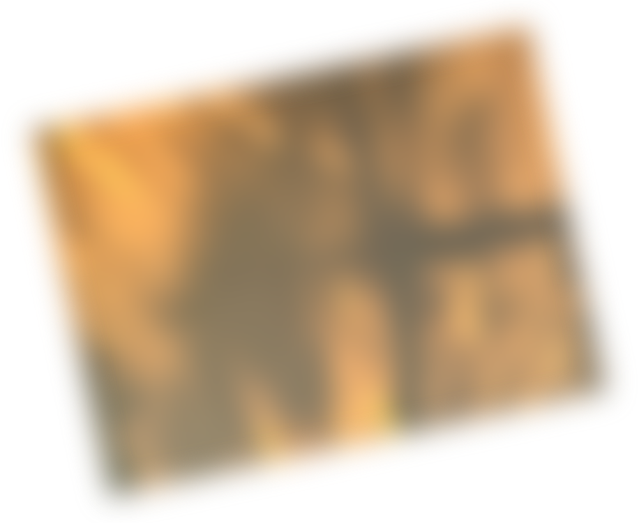 FV Image 5